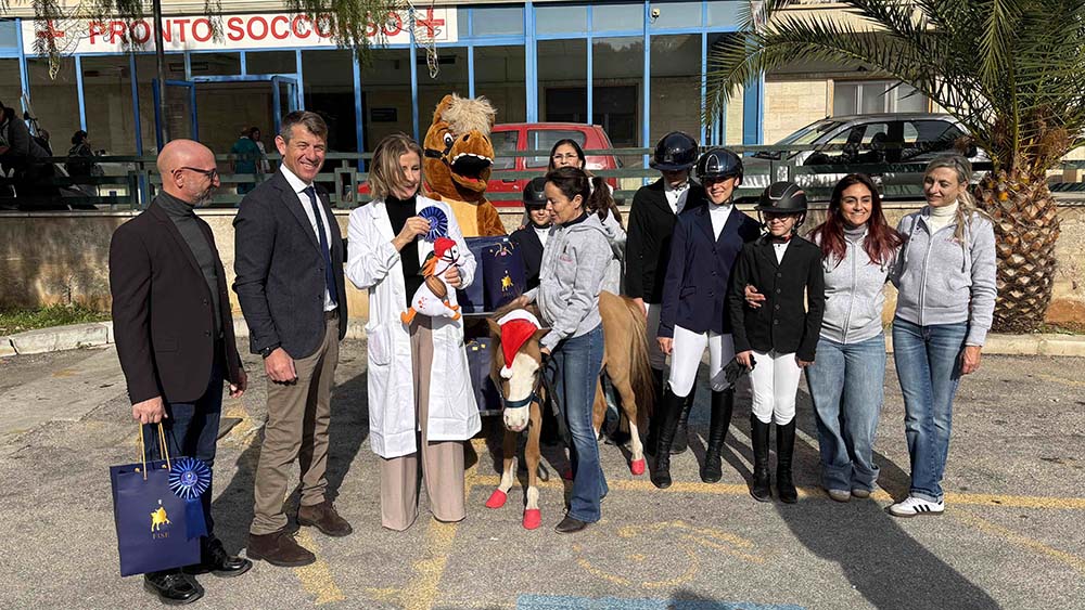 Natale con FISE Cervello 1