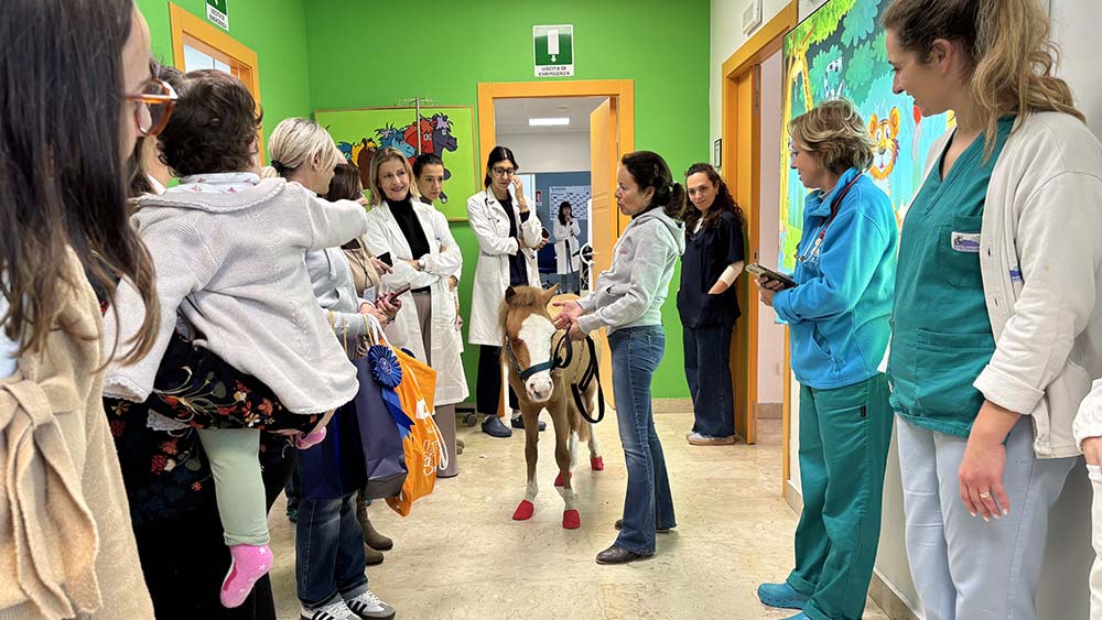 Natale con la FISE Osp. Cervello