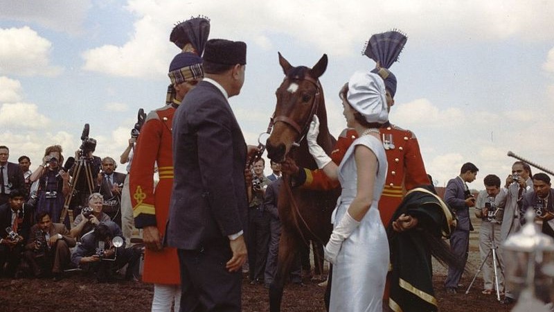 Pakistan President Mohammed Ayub Khan presents Mrs. Kennedy with a bay gelding as a gift March 22 1962