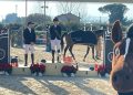 Borgo Hermada: Torraca vince il GP di Natale