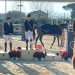 Borgo Hermada: Torraca vince il GP di Natale