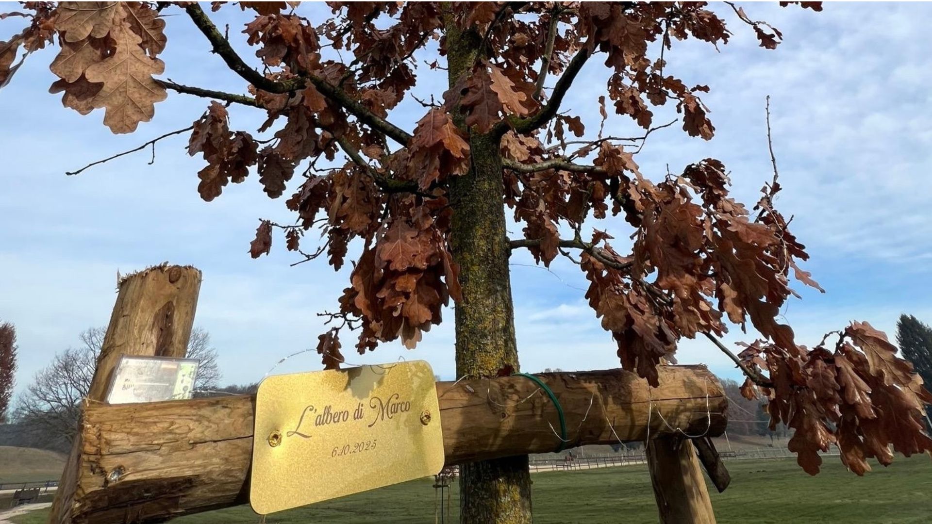 Progetto senza titolo 2025 12 15T200510.564