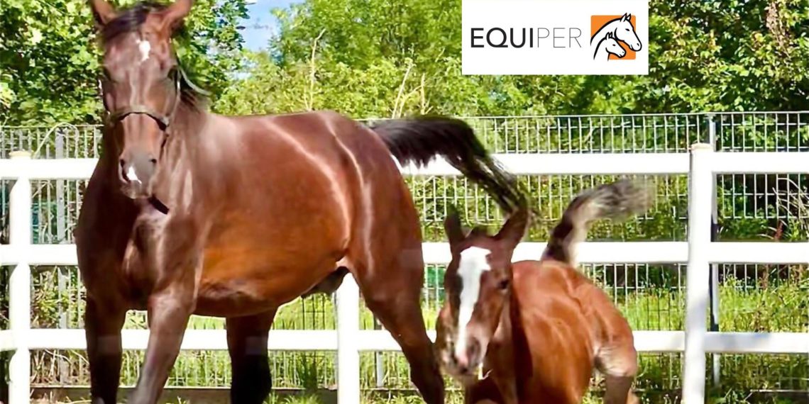 EquiPER: un impegno collettivo