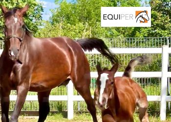 EquiPER: un impegno collettivo