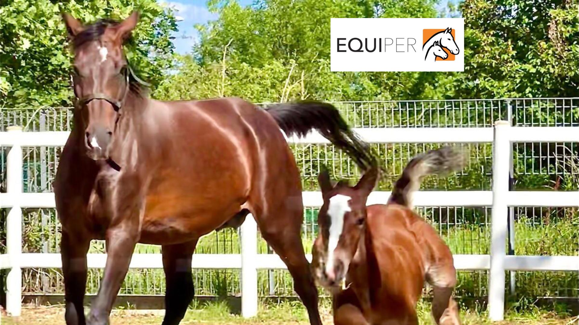 Progetto senza titolo 2025 12 20T172557.468