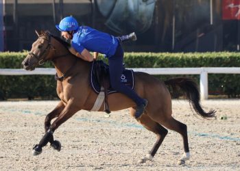 Stage Federale Mounted Games