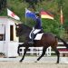 Valentina Truppa ci introduce al dressage