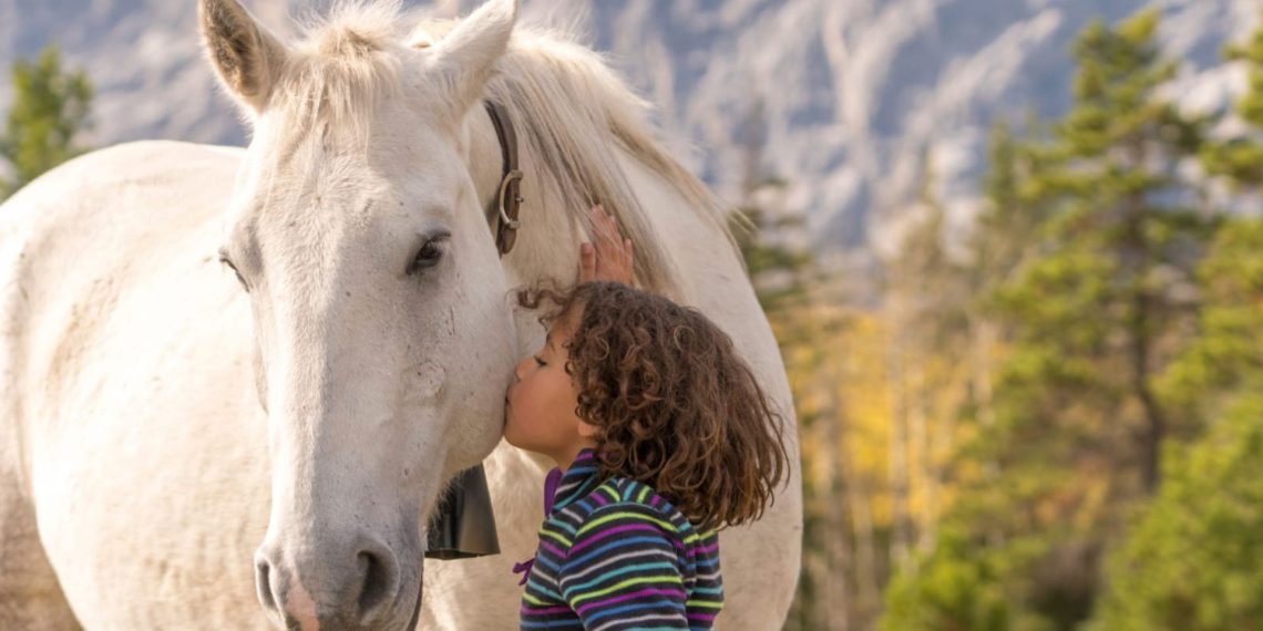 L’83% degli italiani dice no alla carne di cavallo