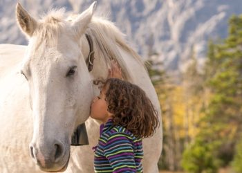 L’83% degli italiani dice no alla carne di cavallo
