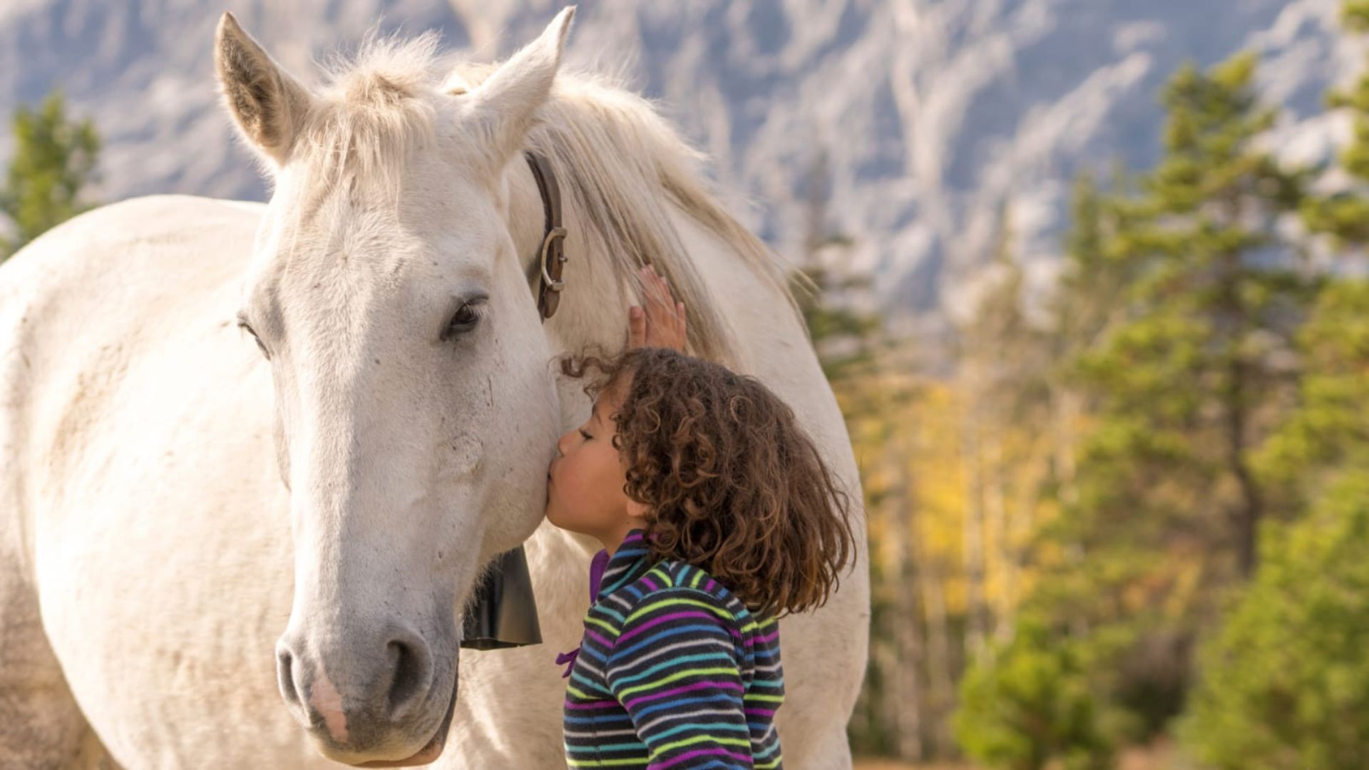 Progetto senza titolo 2025 12 29T142414.386