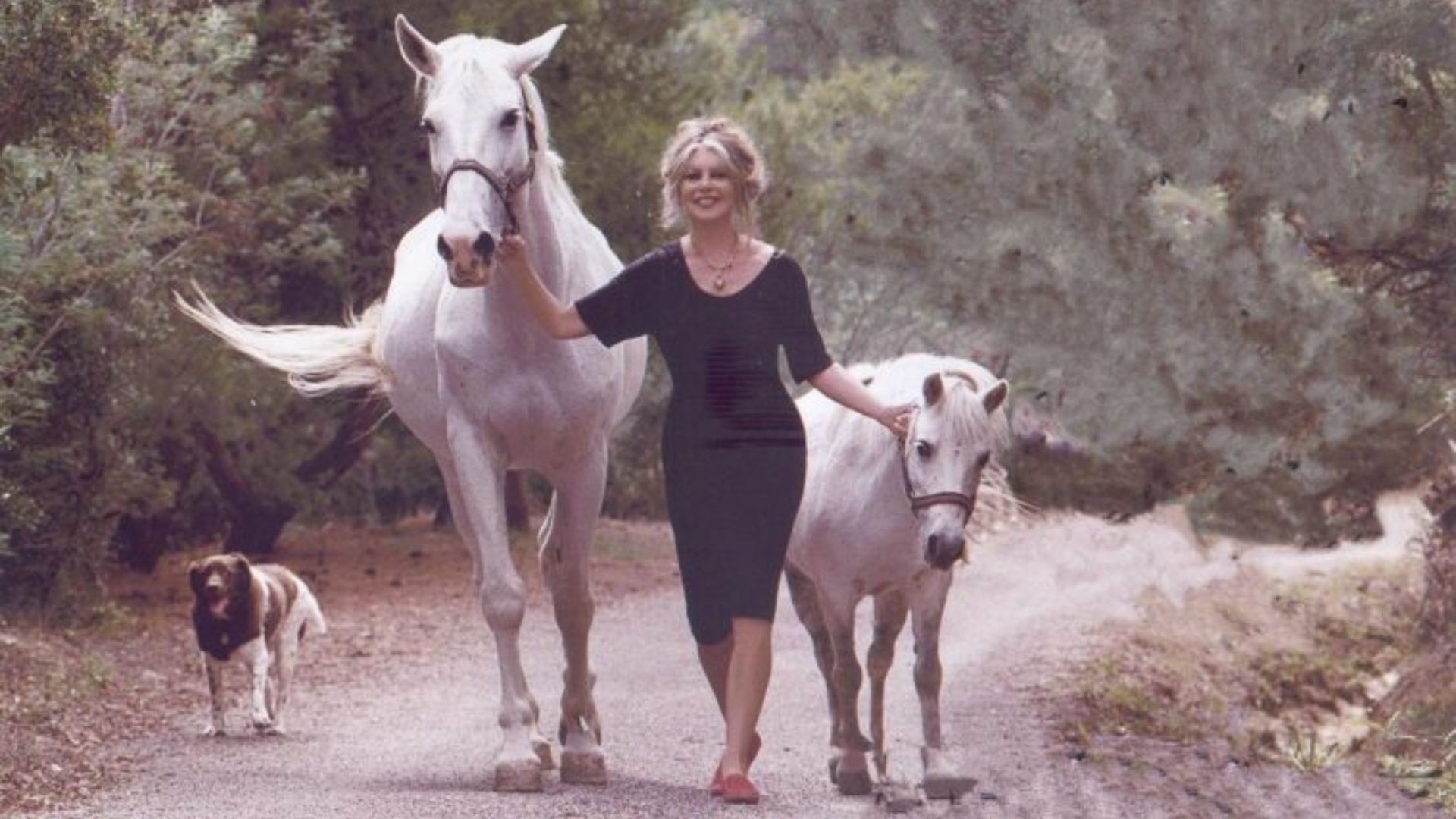 Progetto senza titolo