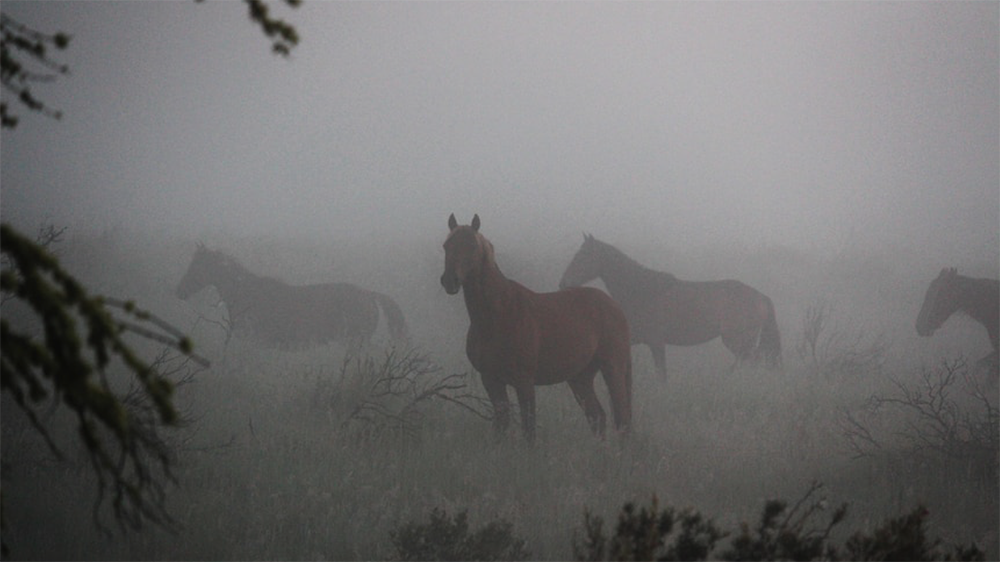 Schermata 2025 12 01 alle 16.00.34