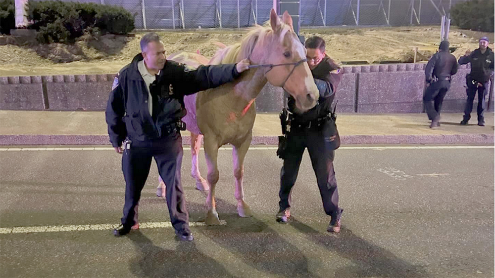 Schermata 2025 12 09 alle 18.40.28