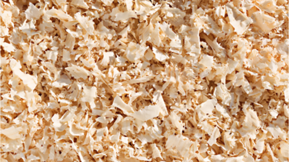 Schermata 2025 12 21 alle 12.47.27