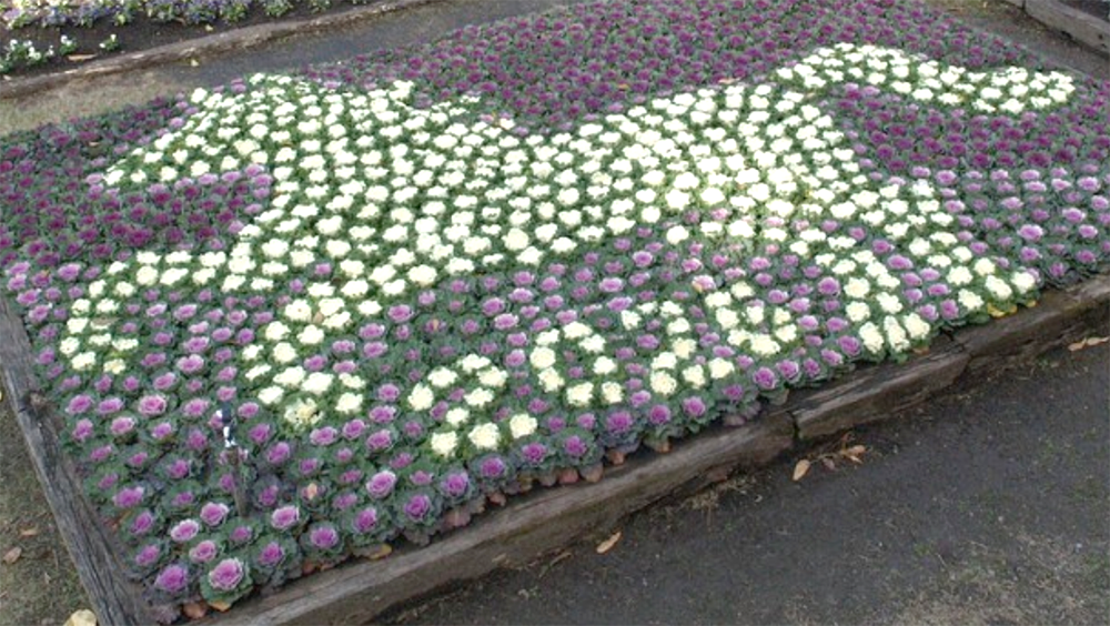 Schermata 2025 12 29 alle 10.14.02