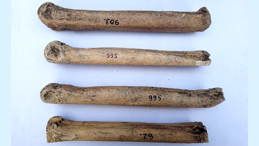 Schermata 2025 12 30 alle 18.32.01