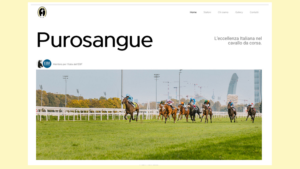 Senza titolo 1 copia