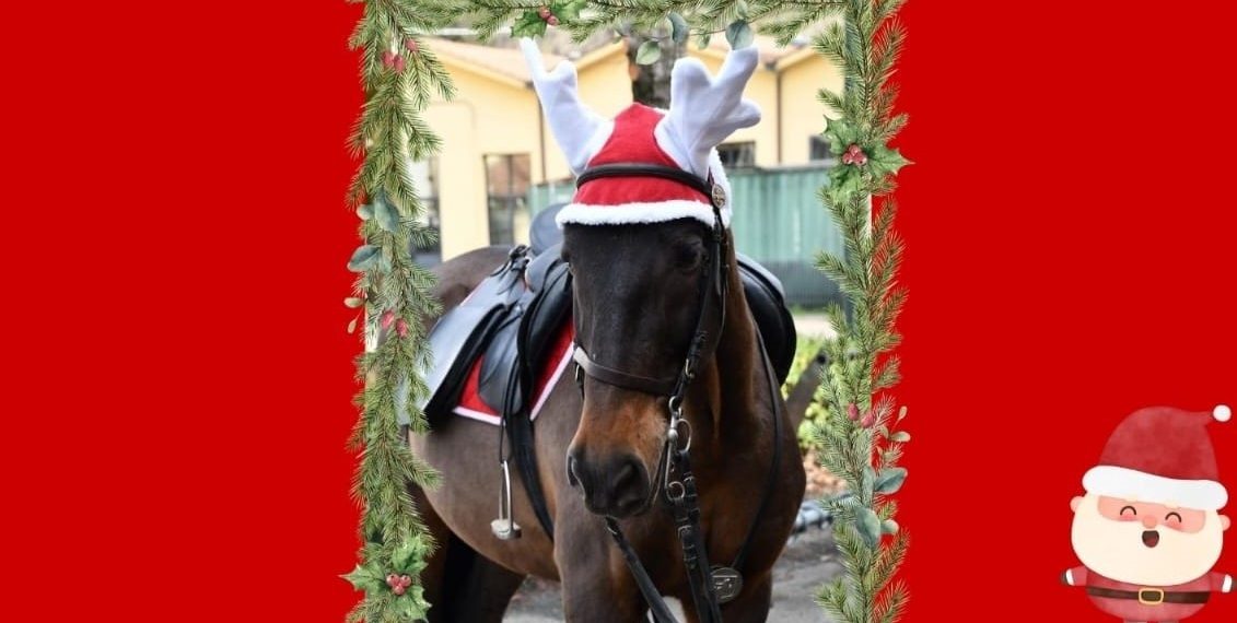 WhatsApp Image 2025 12 04 at 08.44.01 1 1131x570