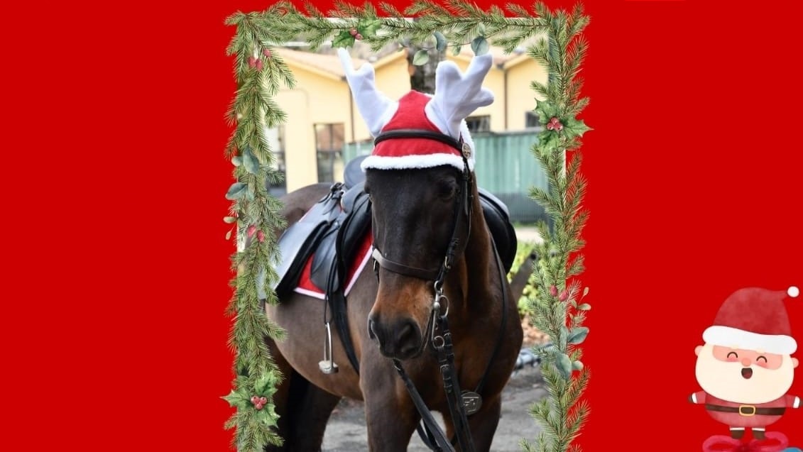 WhatsApp Image 2025 12 04 at 08.44.01 1