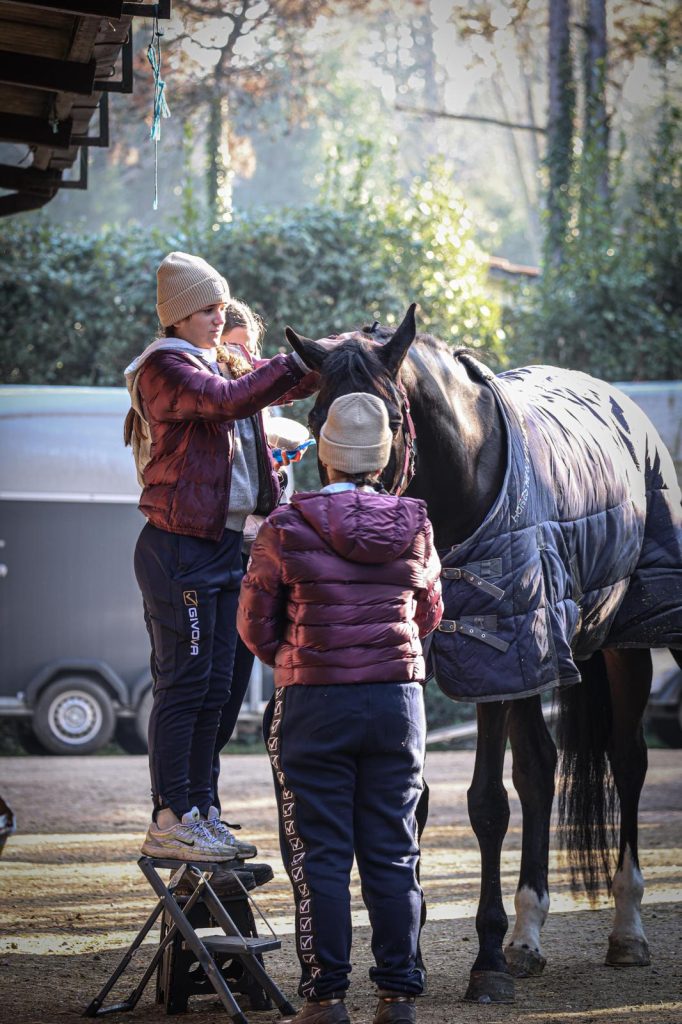 WhatsApp Image 2025-12-14 at 14.50.18 (1) WhatsApp Image 2025 12 14 at 14.50.18 1 682x1024