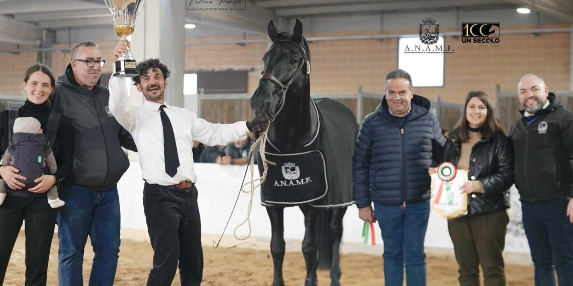 WhatsApp Image 2025 12 14 at 16.00.35 1 1140x570