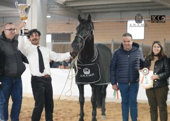 70°Mercato Concorso di Martina Franca: tutti i campioni del Centenario