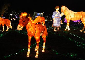 b6ed2ae6f4017f883439f715dc127785 350x250