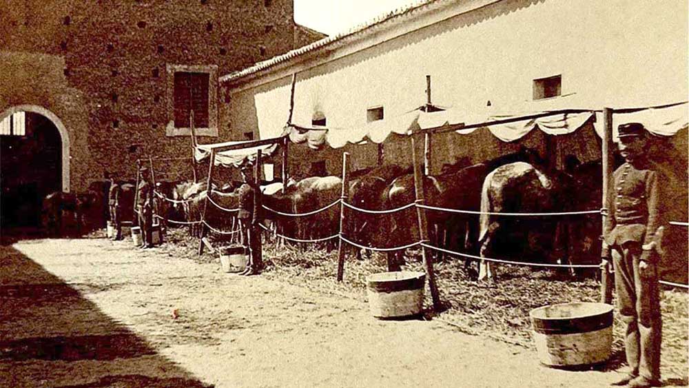 copertinea  LA SICILIA A CAVALLO 1200x1749 1