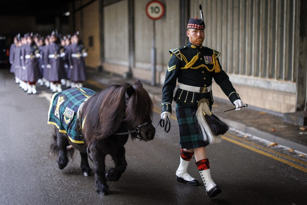 e649be68bb73ff80b59487a2ffa01a05 1024x683