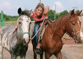 francesca asinari 1764756216866.jpg lite per un cavallo  38enne si toglie la vita a nole  indagini della procura di ivrea 350x250