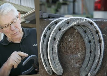 Il saluto ad Angelo Fusetti, icona della mascalcia italiana moderna