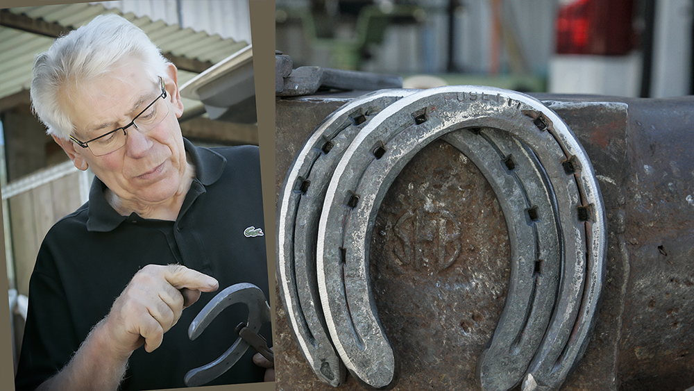 fusetti angelo ferri copia