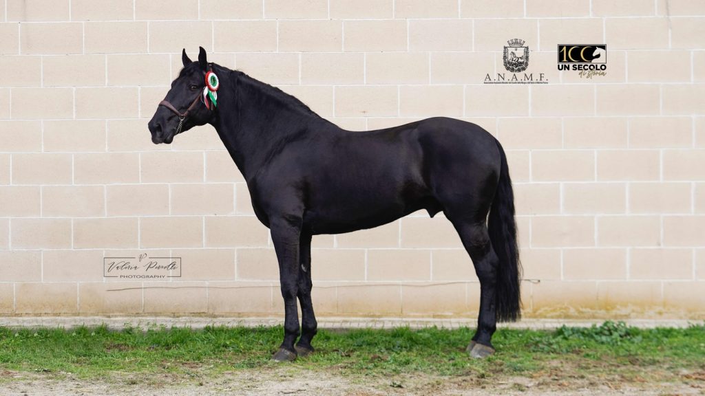 paisiello osiride 1024x576