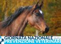 Una giornata anche per la prevenzione