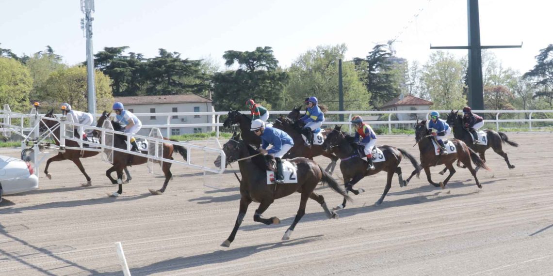 Spettacolo a Milano col trotto montato