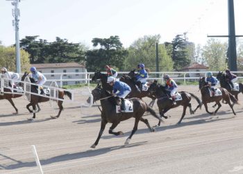 Spettacolo a Milano col trotto montato
