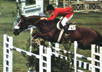 Cavalli italiani: un tema sempre aperto