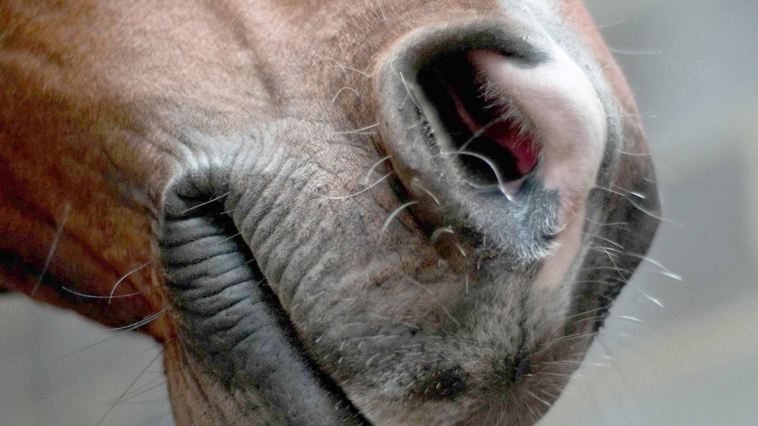 2018 06 15 16 23 16 1536x1192 1