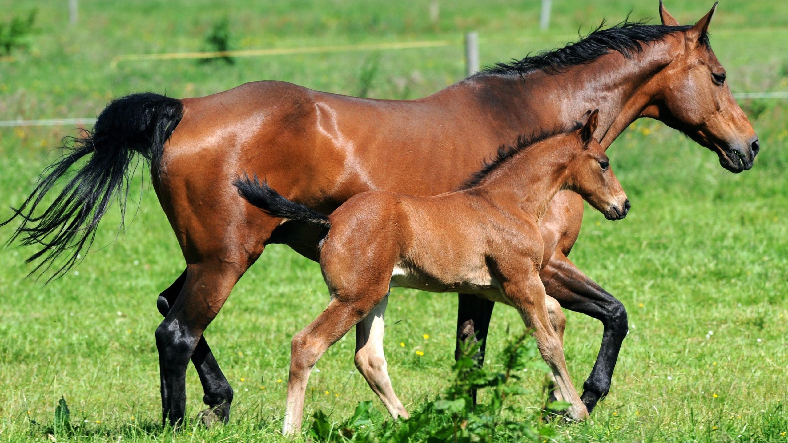 25b2fb22fc269876e9df2840818395d4 scaled