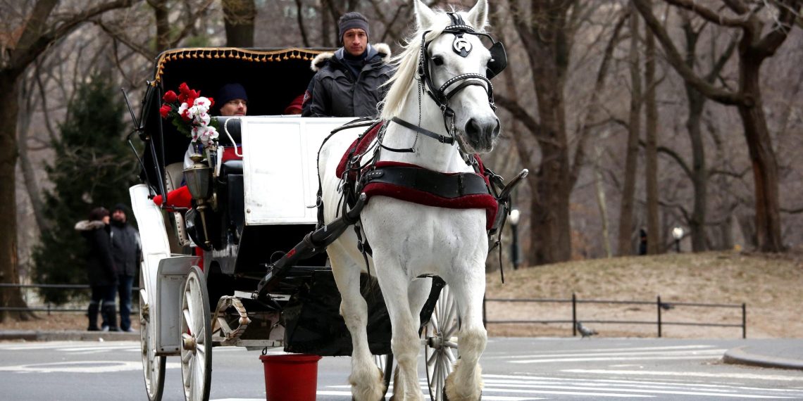 Carrozze per turisti: notizie dal mondo, partendo da New York