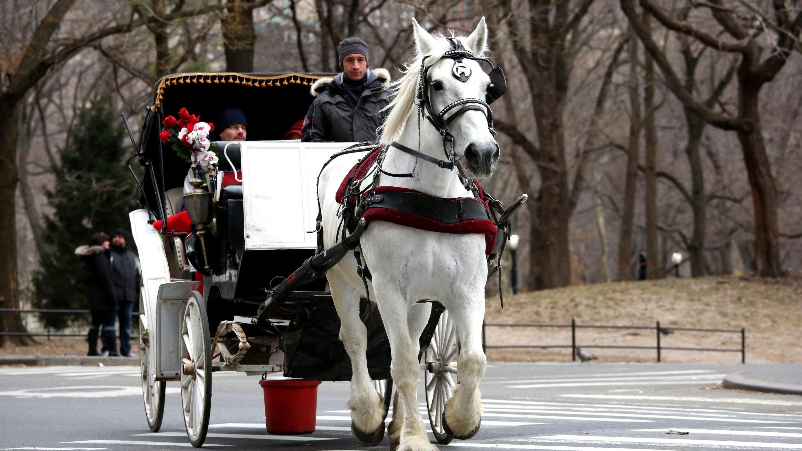 3bd4250ddb4145fe761f4ed23afcc552 scaled