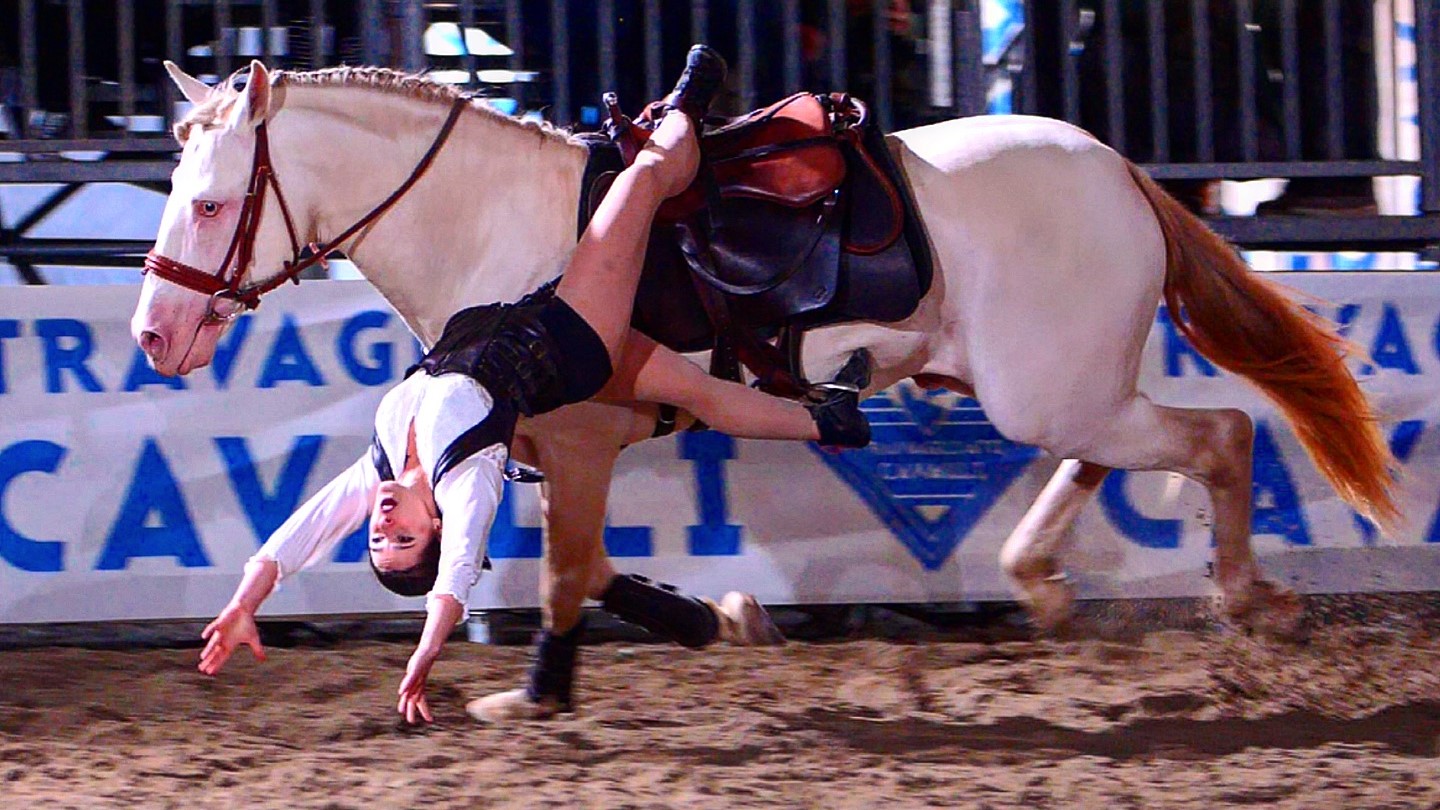 469695375 18311307148163914 1251069316372595036 n