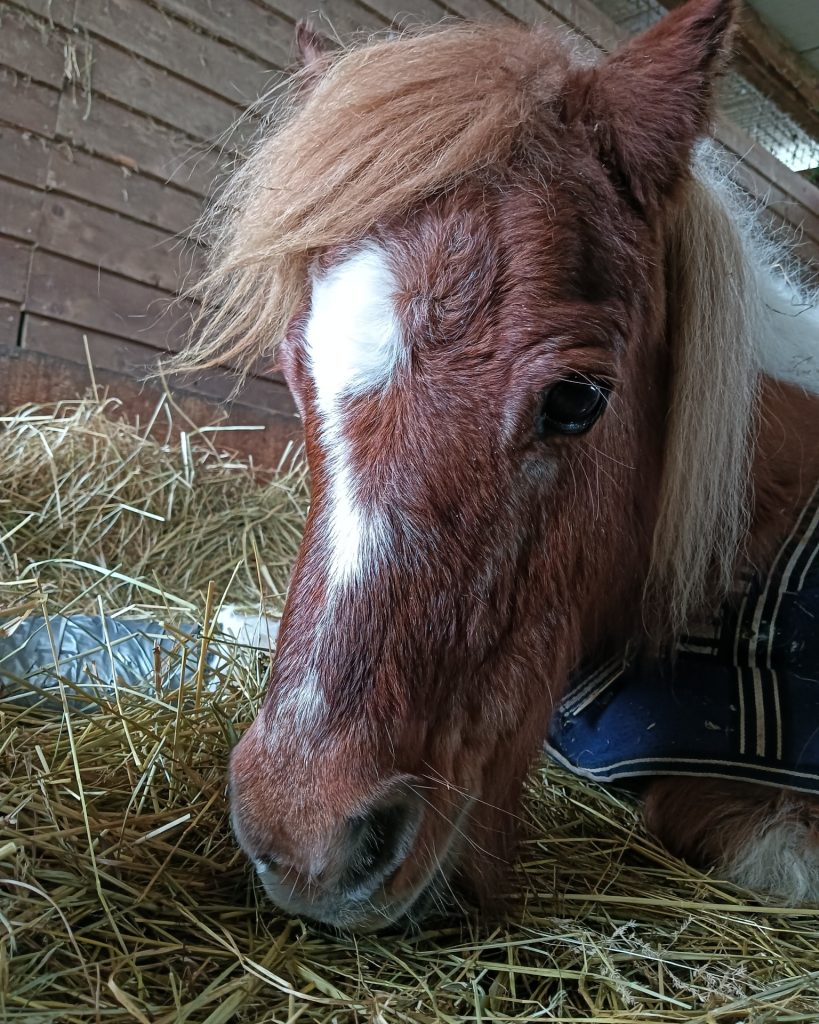 616826513 860430756617283 8675898641761168812 n 819x1024