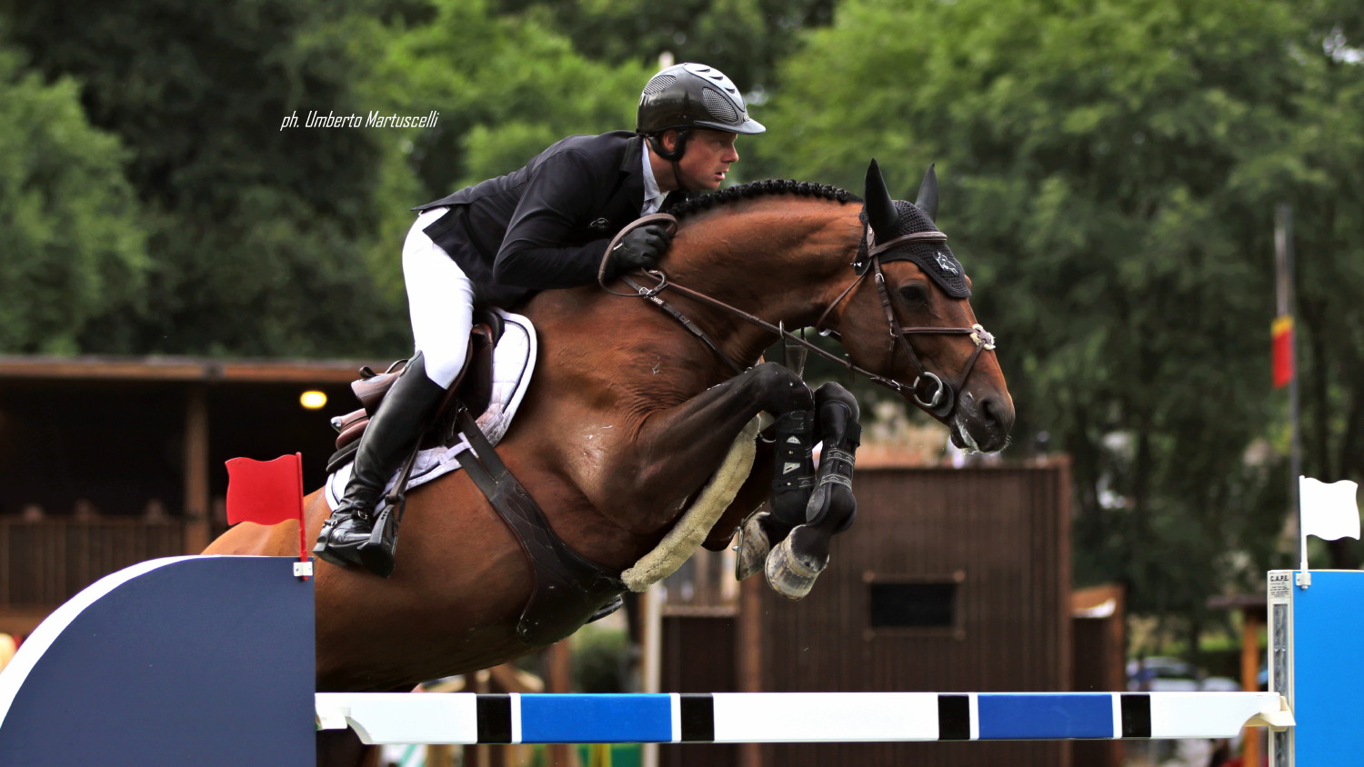 CSIO Roma Willem Greve su Highway M TN OK