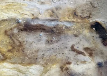 Cavaliere, cavallo e scudiero: la sepoltura anglosassone riemersa come un’ombra dal Suffolk