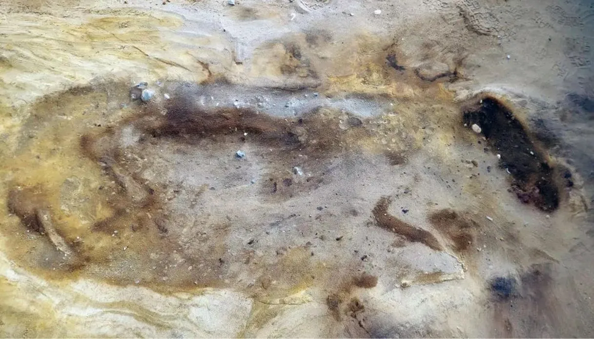 Cavallo ritrovato Suffolk 1