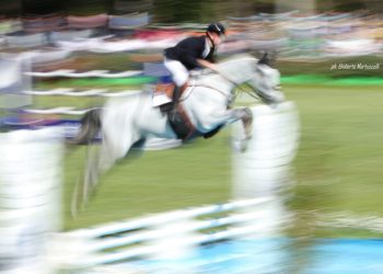 Salto ostacoli: ricordando il 2025