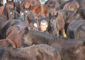 E’ morto Manlio Fani, quello del Branco Nero