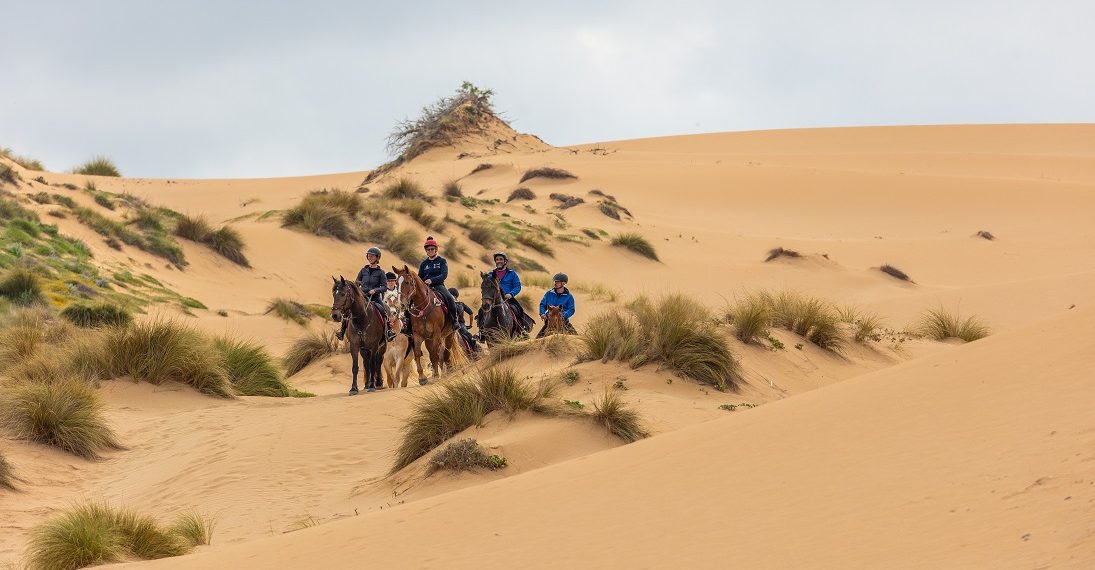 Arborea, l’altra Sardegna: per un viaggio diverso
