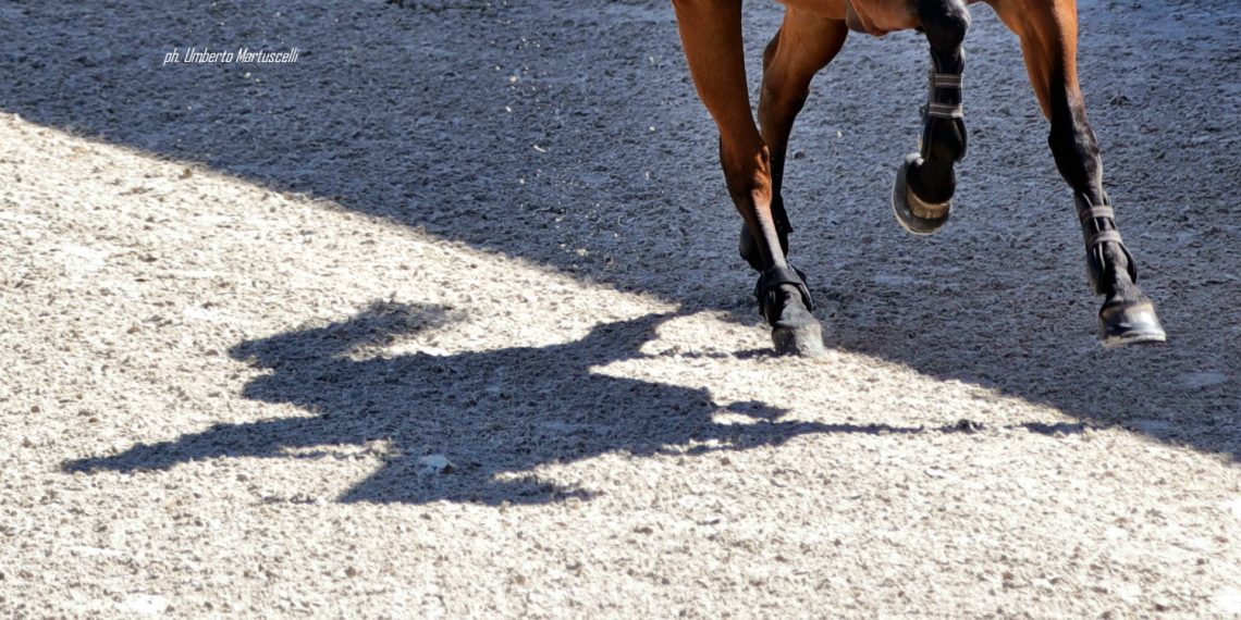 Ci hanno lasciato nel 2025…